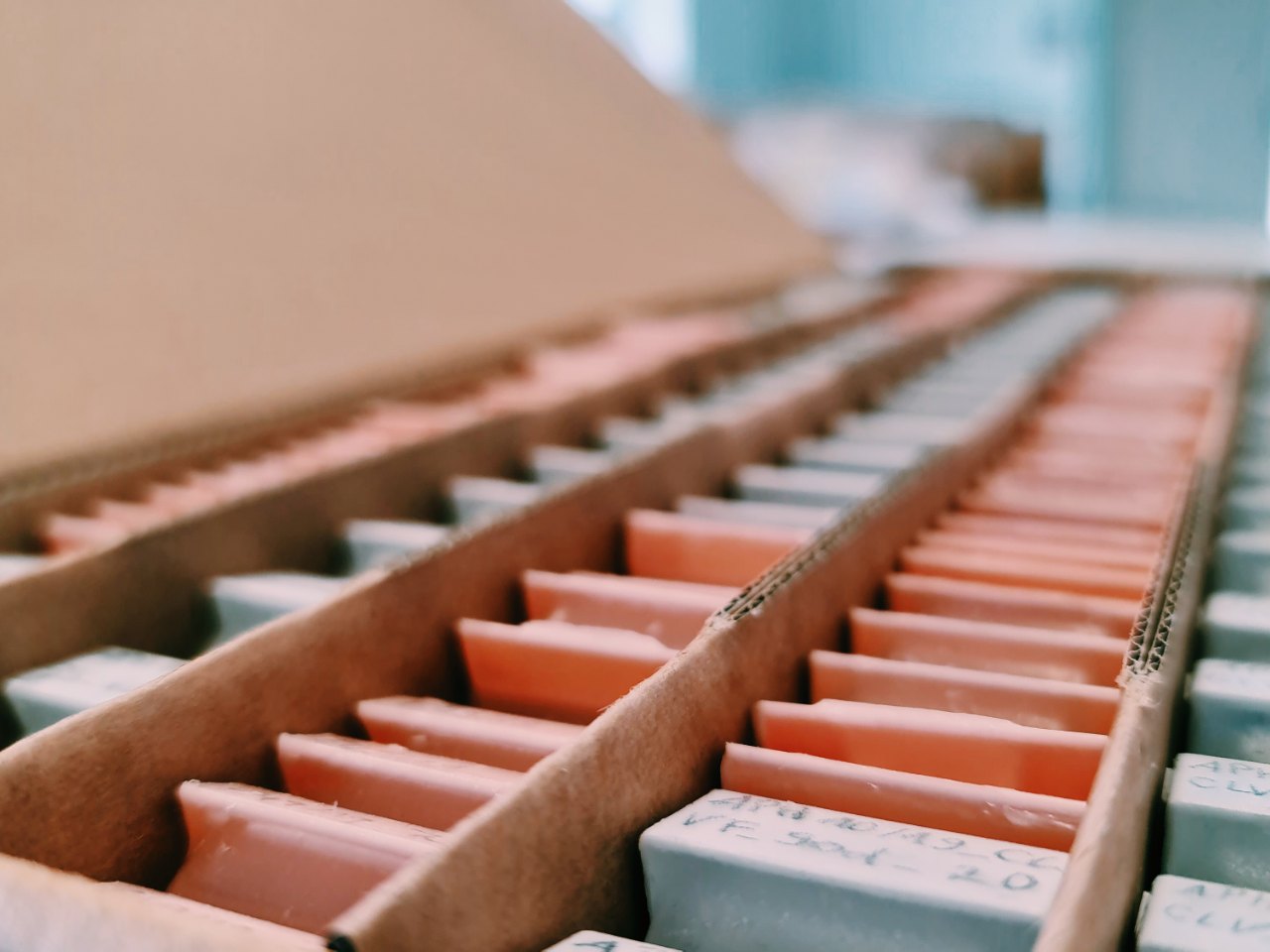 Paraffin tissue blocks in storage tray